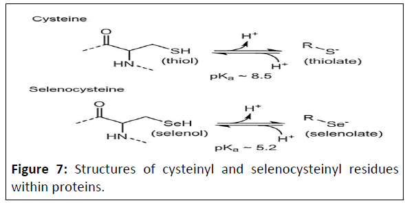 ipacr-Structures