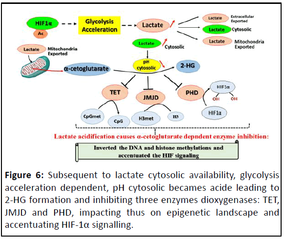 ipacr-lactate