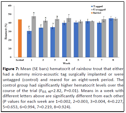 ipfs-rainbow