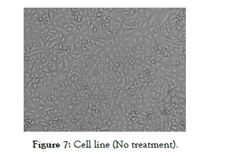 nanomedicine-nanotechnology-Cell