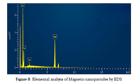 nanomedicine-nanotechnology-Elemental