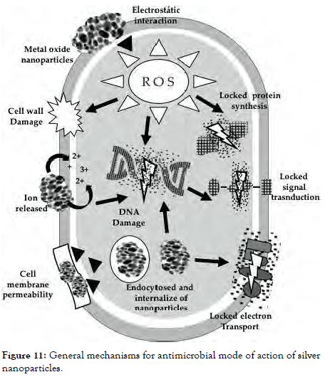 nanomedicine-nanotechnology-General