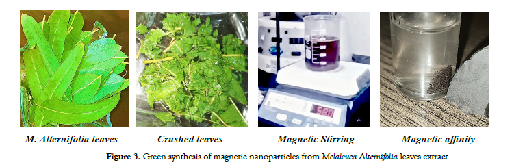 nanomedicine-nanotechnology-Green