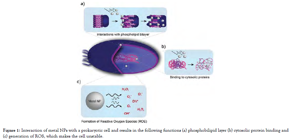 nanomedicine-nanotechnology-Interaction