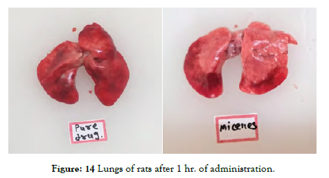 nanomedicine-nanotechnology-Lungs