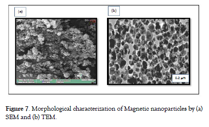 nanomedicine-nanotechnology-Morphological