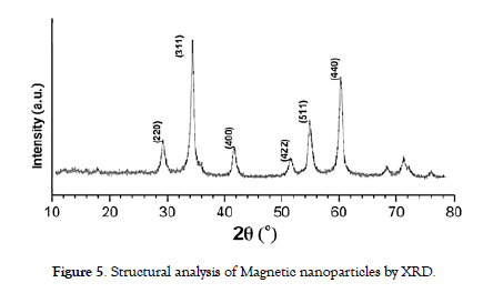 nanomedicine-nanotechnology-Structural