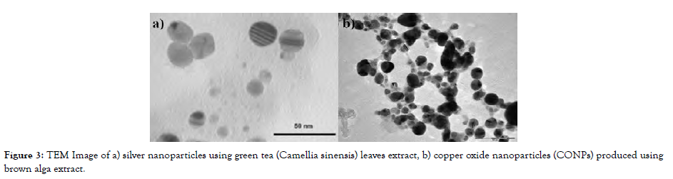 nanomedicine-nanotechnology-TEM