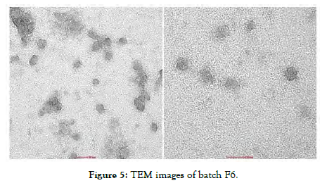 nanomedicine-nanotechnology-TEM