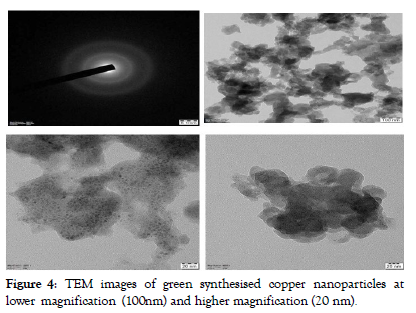 nanomedicine-nanotechnology-magnification