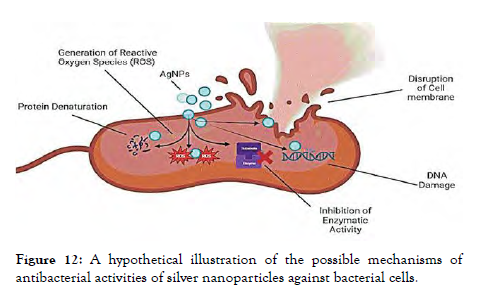 nanomedicine-nanotechnology-possible