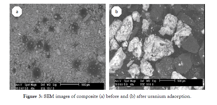 international-journal-waste-resources-uranium