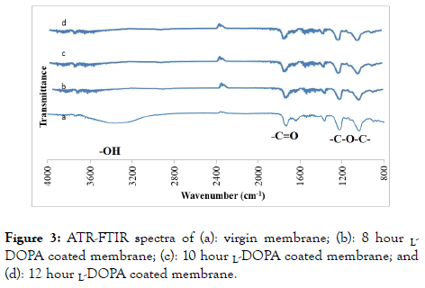 membrane-science-virgin-membrane