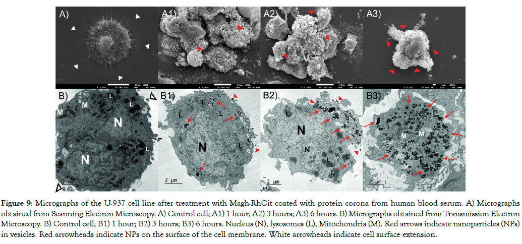 nanomedicine-nanotechnology-cell-surface