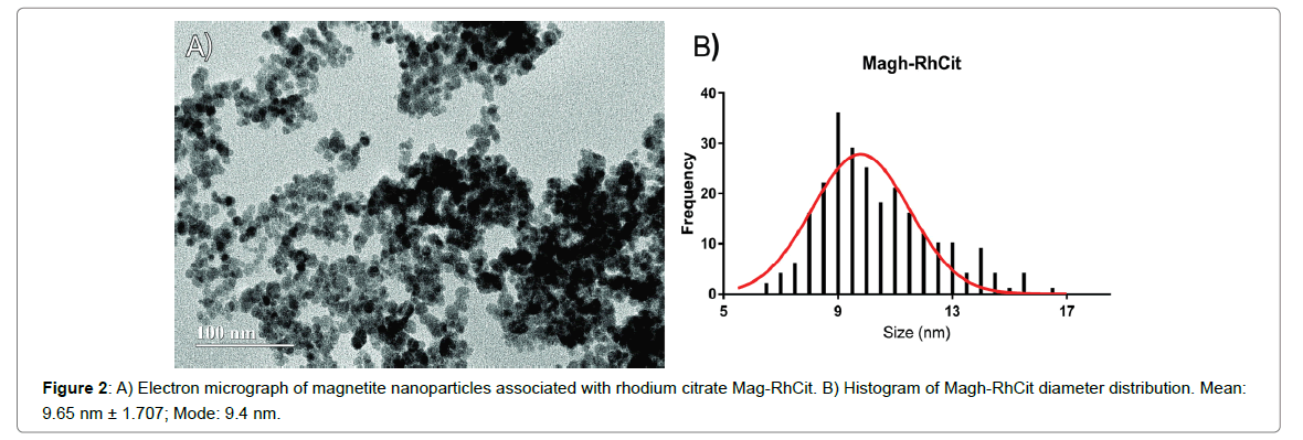 nanomedicine-nanotechnology-diameter-distribution