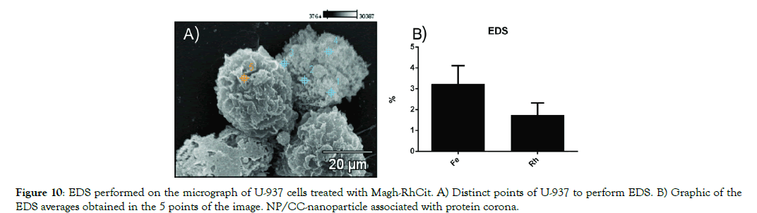 nanomedicine-nanotechnology-protein-corona