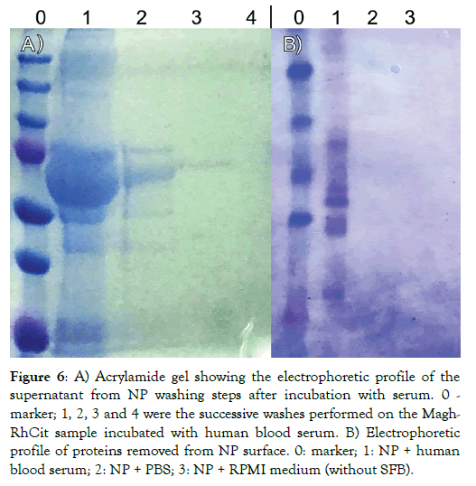 nanomedicine-nanotechnology-steps-after