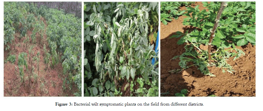 plant-pathology-microbiology-districts