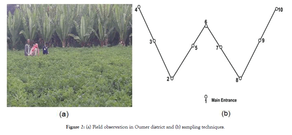 plant-pathology-microbiology-sampling