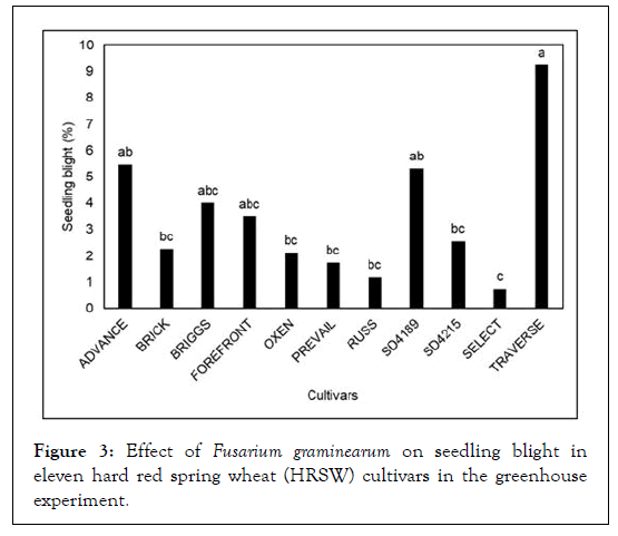 plant-pathology-microbiology-seedling-blight