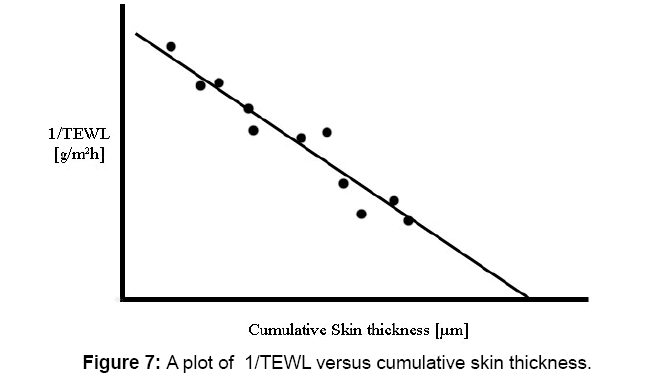 Strategies For The Bioequivalence Assessment Of Topical Dermatological ...