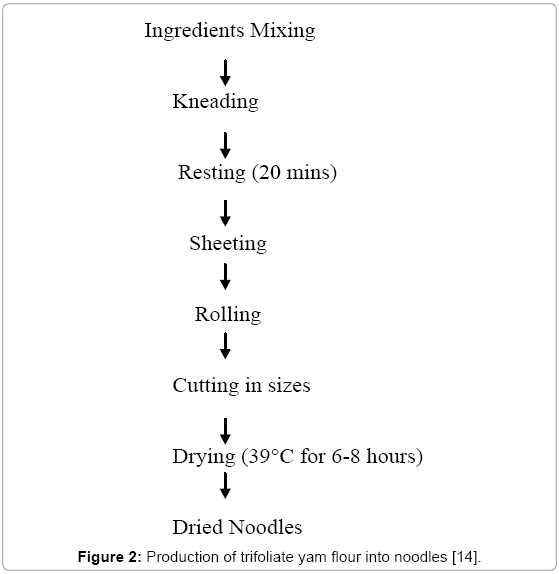 Potentials of Trifoliate Yam (Dioscorea dumetorum) in Noodles Production