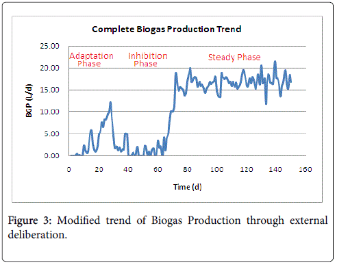 Predictive Modeling Of Biogas Production From Anaerobic Digestion