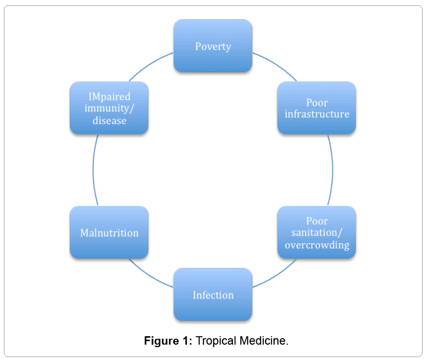 what-is-tropical-medicine